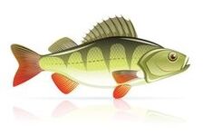 المأكولات البحرية لالتهاب البنكرياس